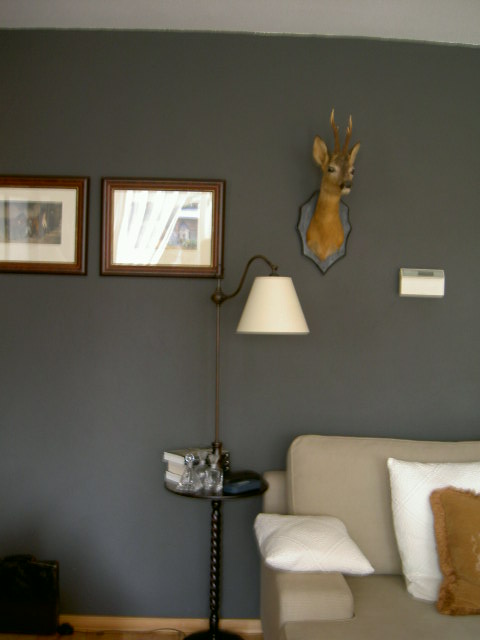 Woonkamer met donkergrijze wand